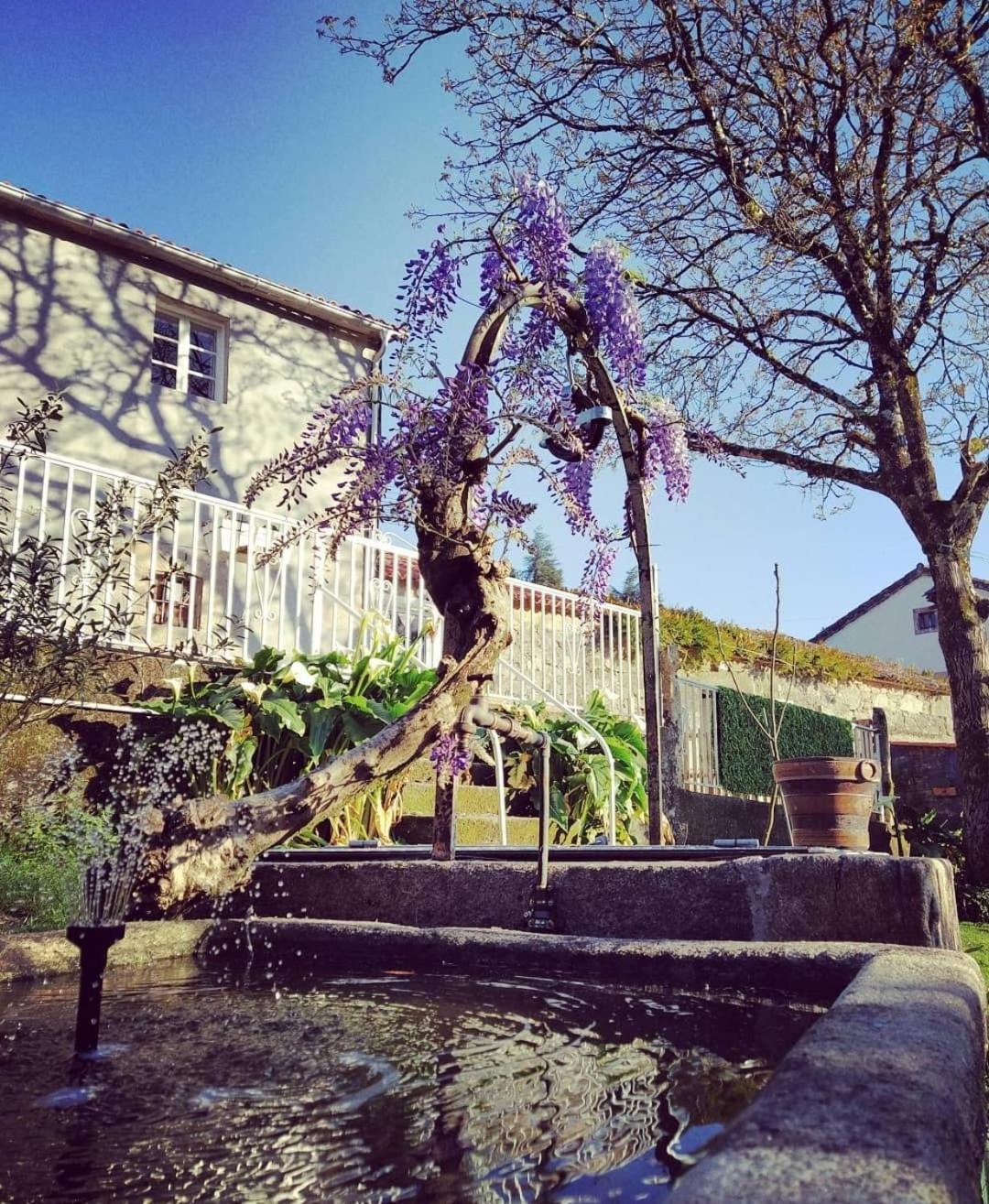 Apartmán A Casa Da Parrula Santiago de Compostela Exteriér fotografie